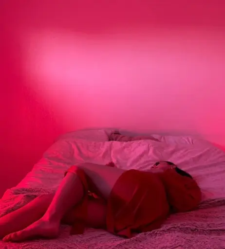 Image 2530449 from Wailcester