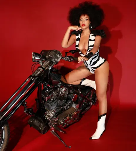 Image 2530160 from Beyoncé Knowles