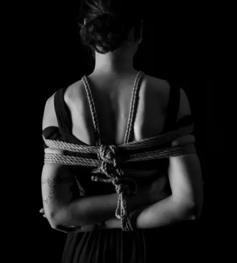 Image 253094 from Charlotte.msd