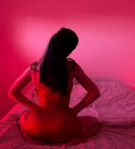 Image 2528878 from Wailcester