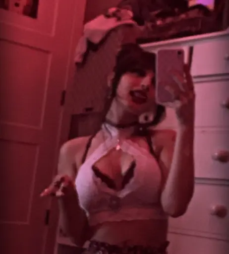 Image 2511116 from beebee