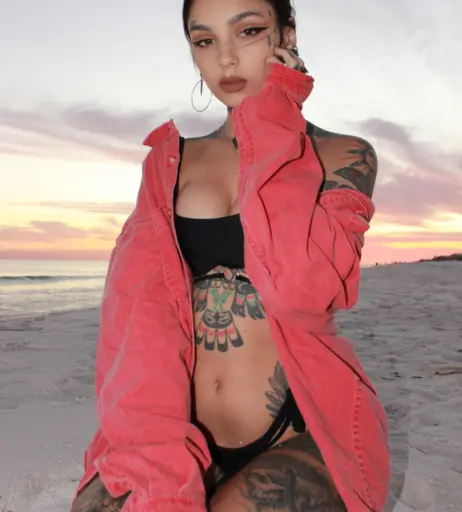 Image 2513587 from Taylor White