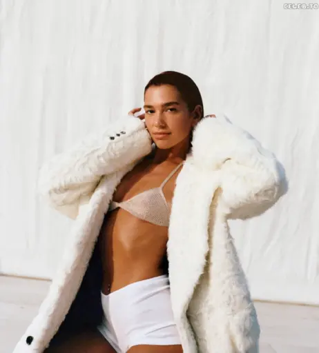 Image 25188317 from Dua Lipa