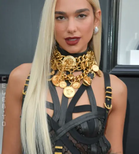 Image 25189453 from Dua Lipa