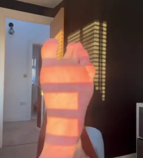 Image 2502808 from Jade Slavin