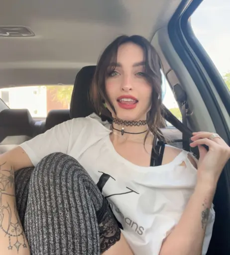 Image 2509868 from beebee