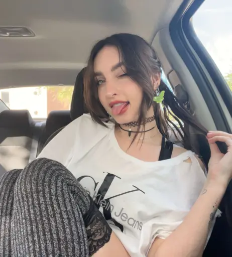 Image 2509964 from beebee