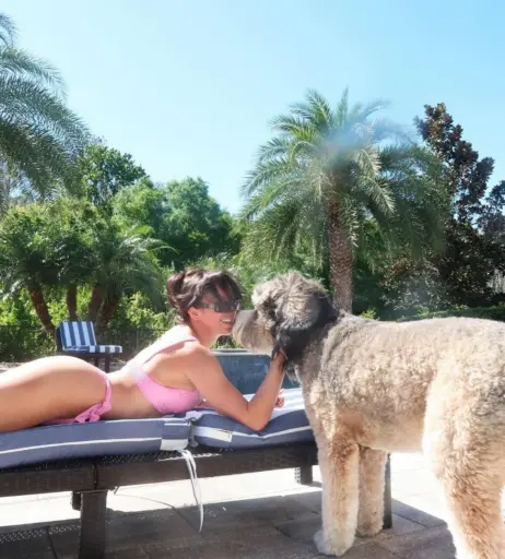 Image 2508750 from Chelsea Green