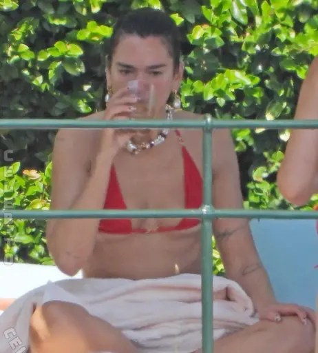 Image 26905087 from Dua Lipa