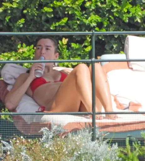 Image 26905017 from Dua Lipa