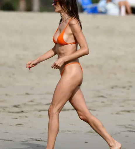 Image 2687370 from Alessandra Ambrosio