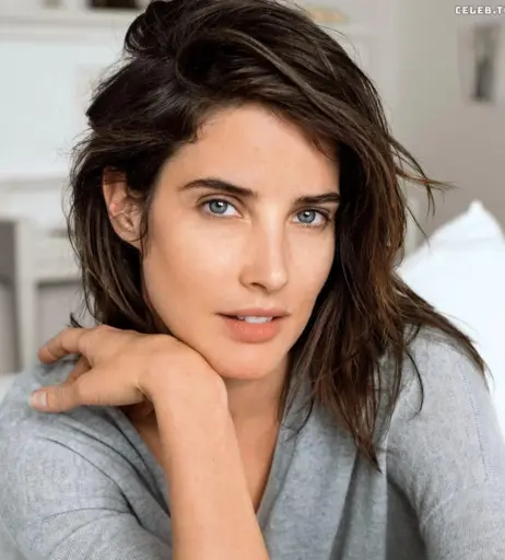 Image 2681713 from Cobie Smulders