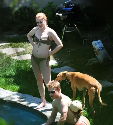 Image 2689191 from Amy Adams