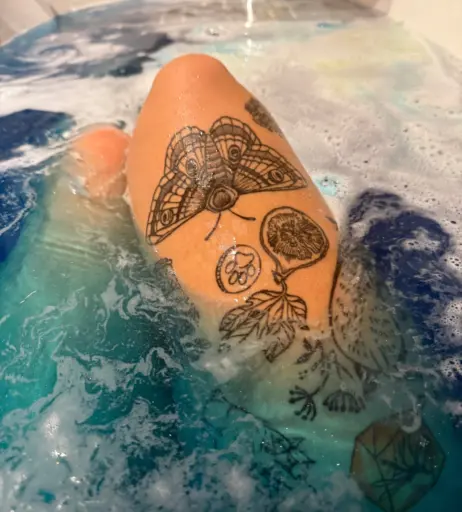 Image 2674155 from laurenkimripley