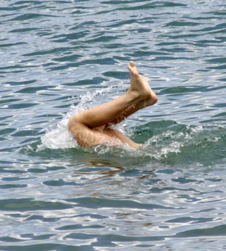 Image 2665303 from Alyson Hannigan