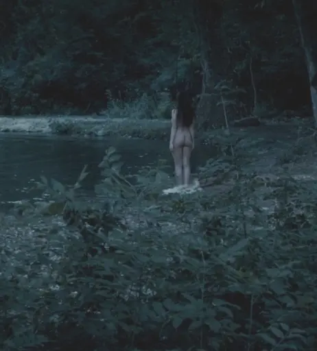 Image 2665242 from Hayley Atwell