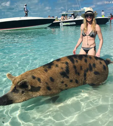 Image 2664997 from Caity Lotz