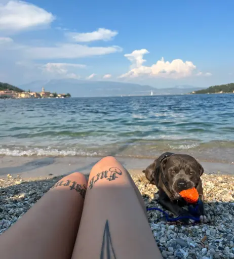 Image 2660153 from Elizabeth Sanchez