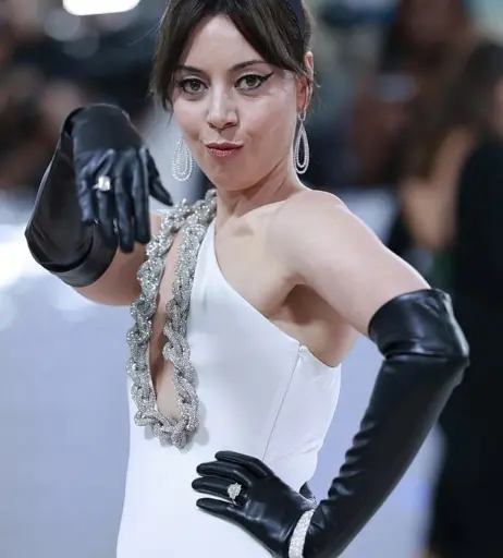 Image 2660316 from Aubrey Plaza