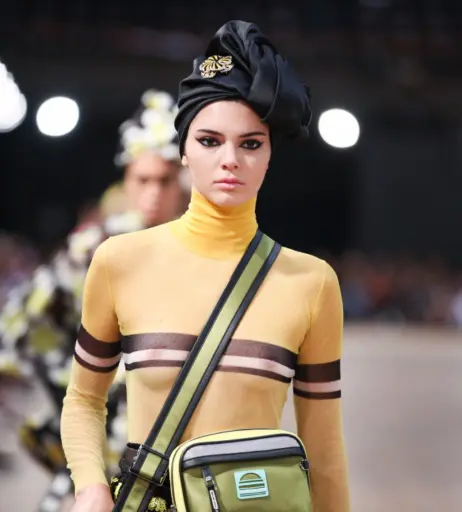 Image 26558592 from Kendall Jenner