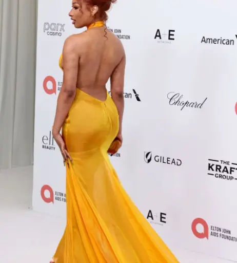 Image 26566520 from Megan thee stallion