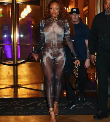 Image 26560082 from Megan thee stallion