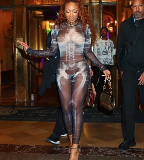 Image 26569011 from Megan thee stallion