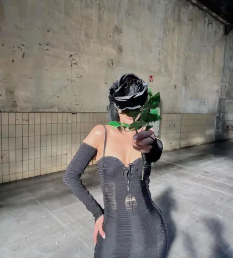 Image 2657934 from Elif