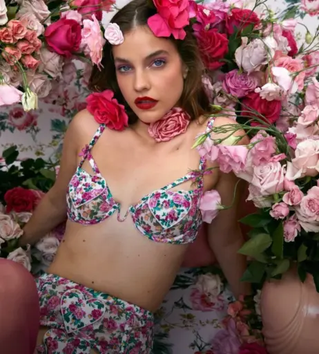 Image 26516061 from Barbara Palvin