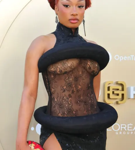 Image 26526496 from Megan thee stallion