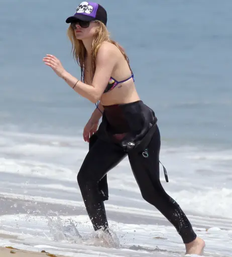 Image 2653021 from Avril Lavigne