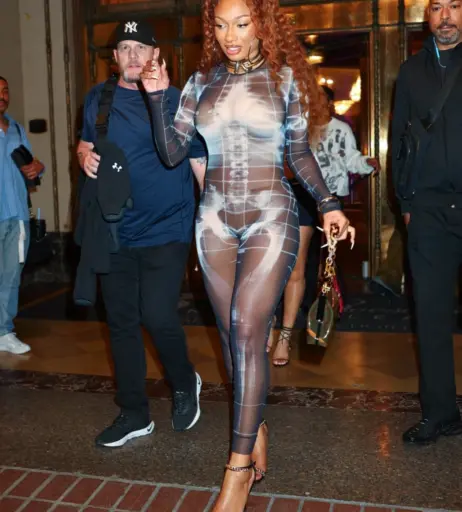 Image 26539399 from Megan thee stallion