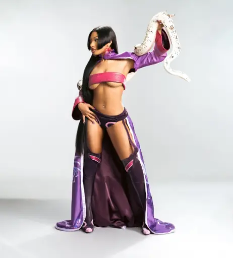Image 26504499 from Megan thee stallion
