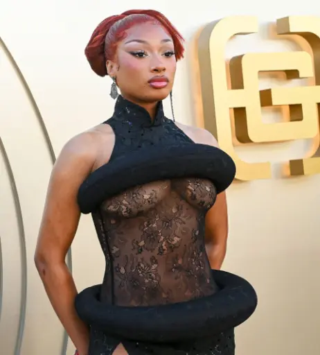 Image 26459102 from Megan thee stallion