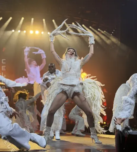 Image 26468433 from Lady Gaga