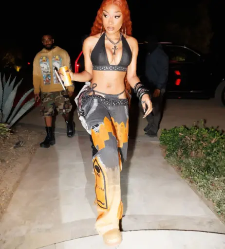 Image 26471320 from Megan thee stallion