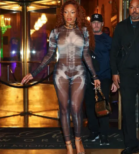 Image 26437820 from Megan thee stallion