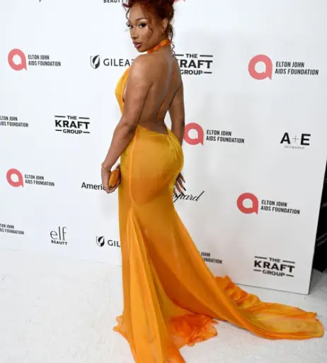 Image 26407554 from Megan thee stallion