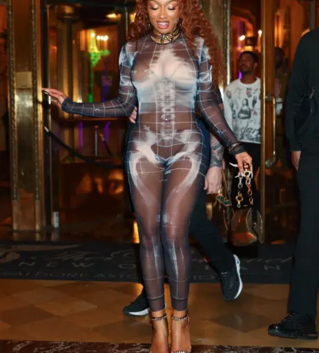 Image 26484447 from Megan thee stallion