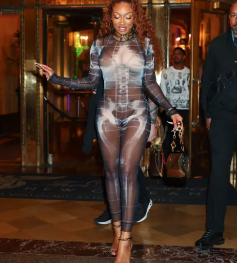 Image 26360595 from Megan thee stallion