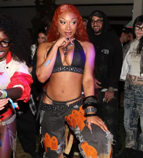Image 26363924 from Megan thee stallion