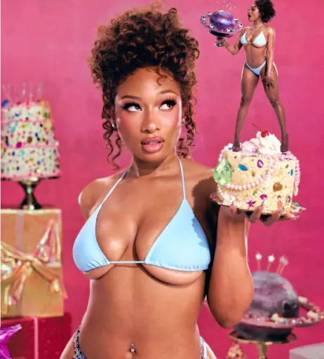Image 26315391 from Megan thee stallion