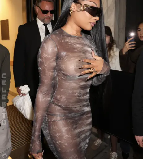 Image 26324580 from Megan thee stallion