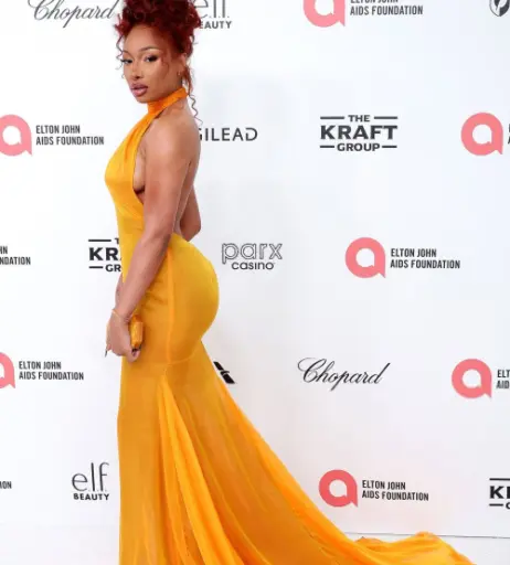 Image 26307936 from Megan thee stallion