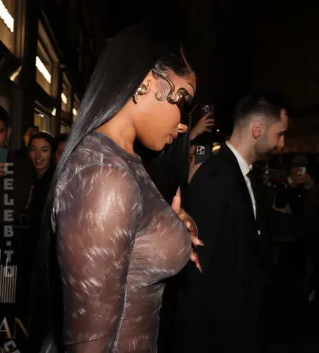 Image 26300466 from Megan thee stallion
