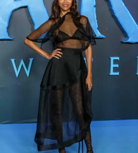 Image 26390309 from Zoe Saldana