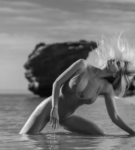 Image 26221805 from Genevieve Morton