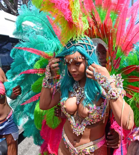 Image 26288147 from Rihanna