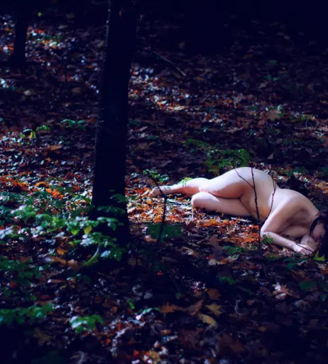 Image 26161215 from Loona-Lexxington