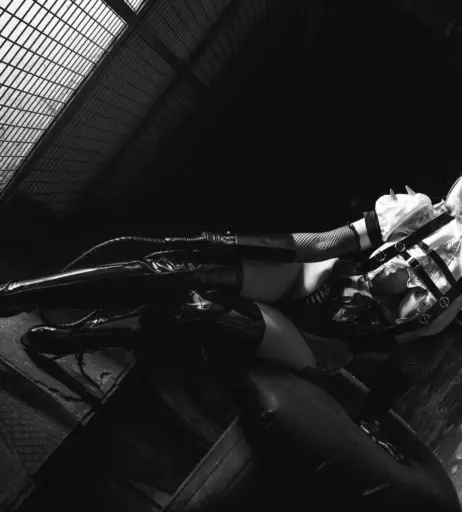 Image 2614814 from Liensue